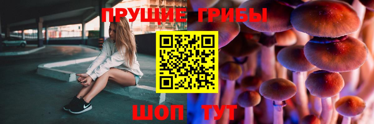 Елабуга  Псилоцибиновые грибы прущие грибы  Вход с VPN  Псилоцибиновые грибы Psilocybe 